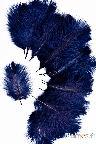 Struzzo Bellies - 8-13 cm - blu notte